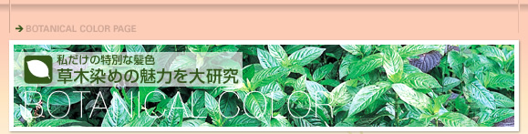 ボタニカルカラー