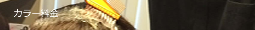 カラー